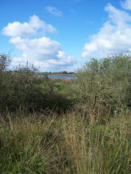 Hochmoor