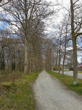 Sandhorster Allee in Aurich-Sandhorst 