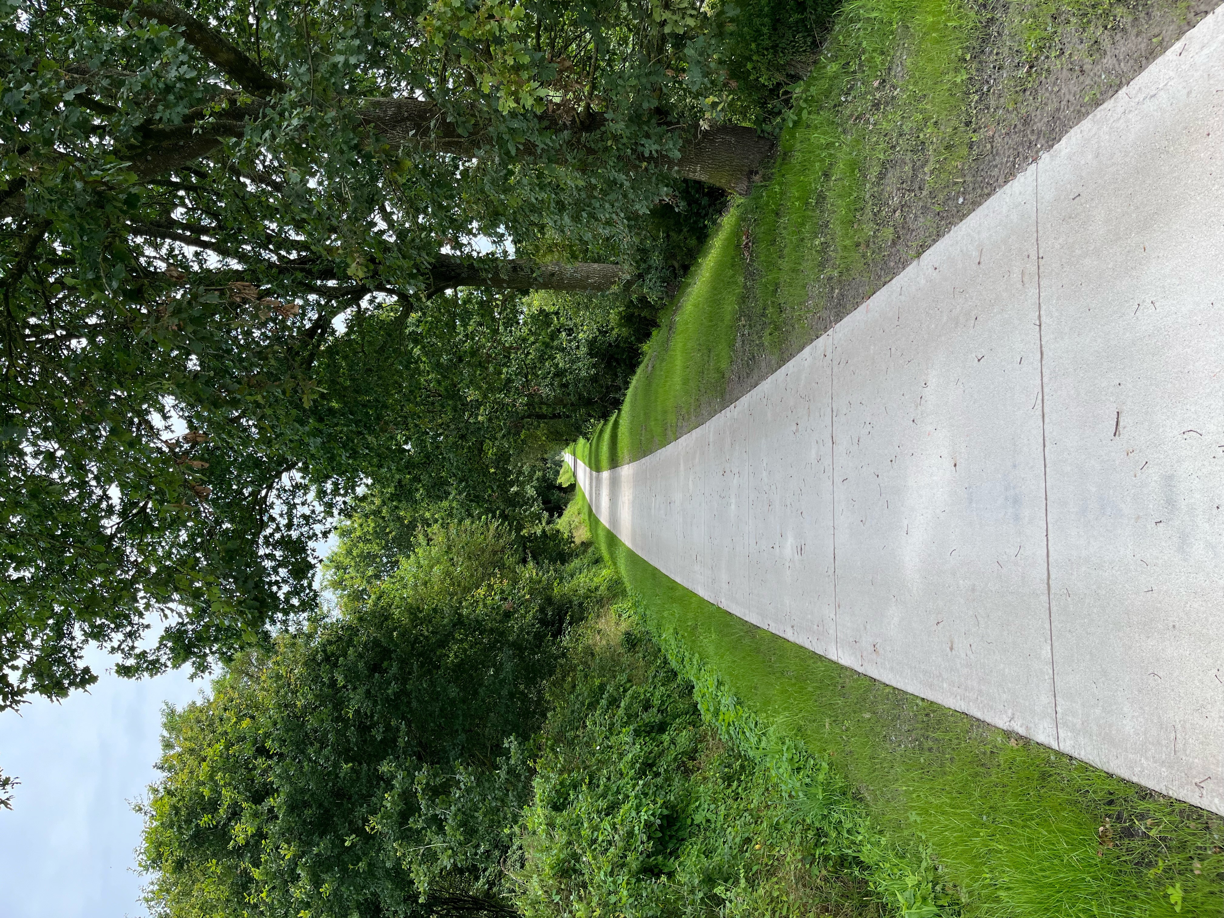 Ausbau Wanderweg im Ortsteil Brockzetel