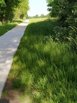 Wanderweg am Ems-Jade-Kanal in Aurich 