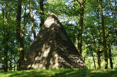Das Kulturdenkmal Upstalsboom. Eine Pyramide, die aus Steinen aufgebaut wurde. Sie ist von Bäumen umgeben.