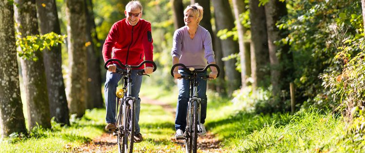 Zwei Radfahrer fahren durch eine Allee