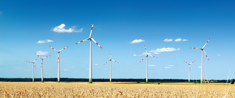 Windkraftanlagen stehen in der Landschaft. Im Vordergrund ein Kornfeld.  